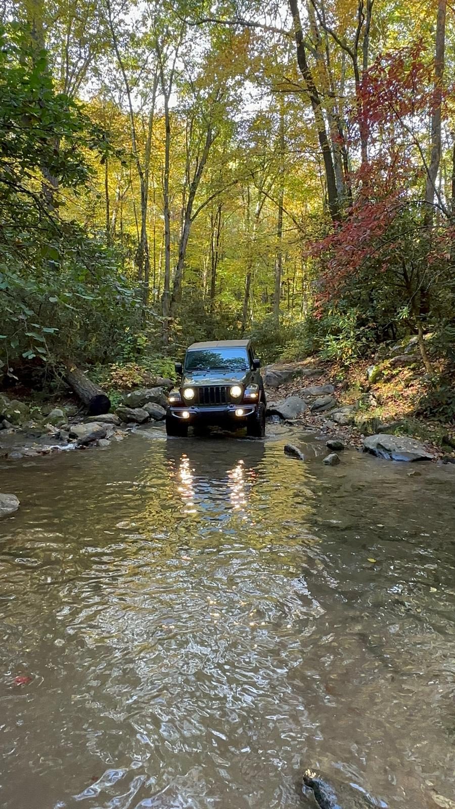 Hurricane Creek Experience